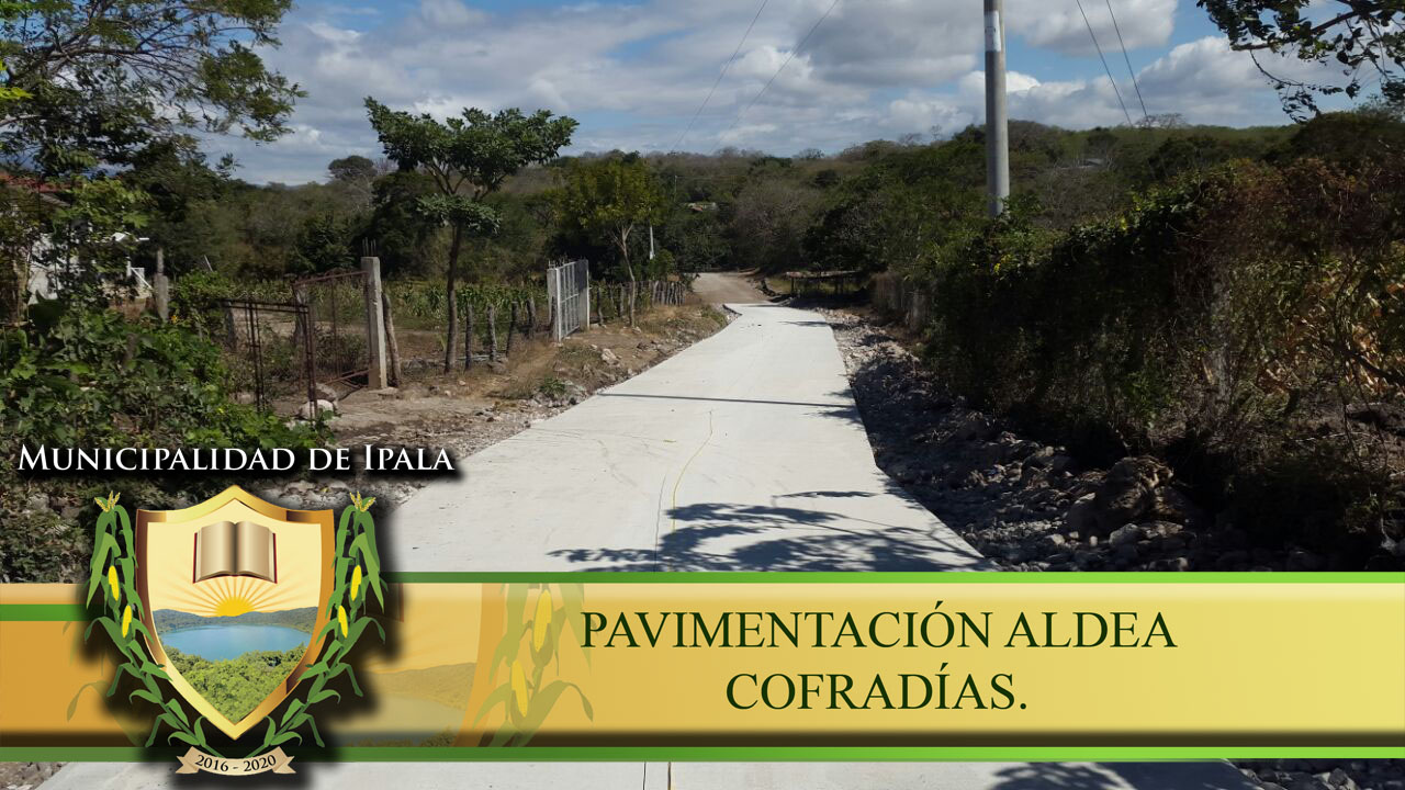 COFRADIAS3
