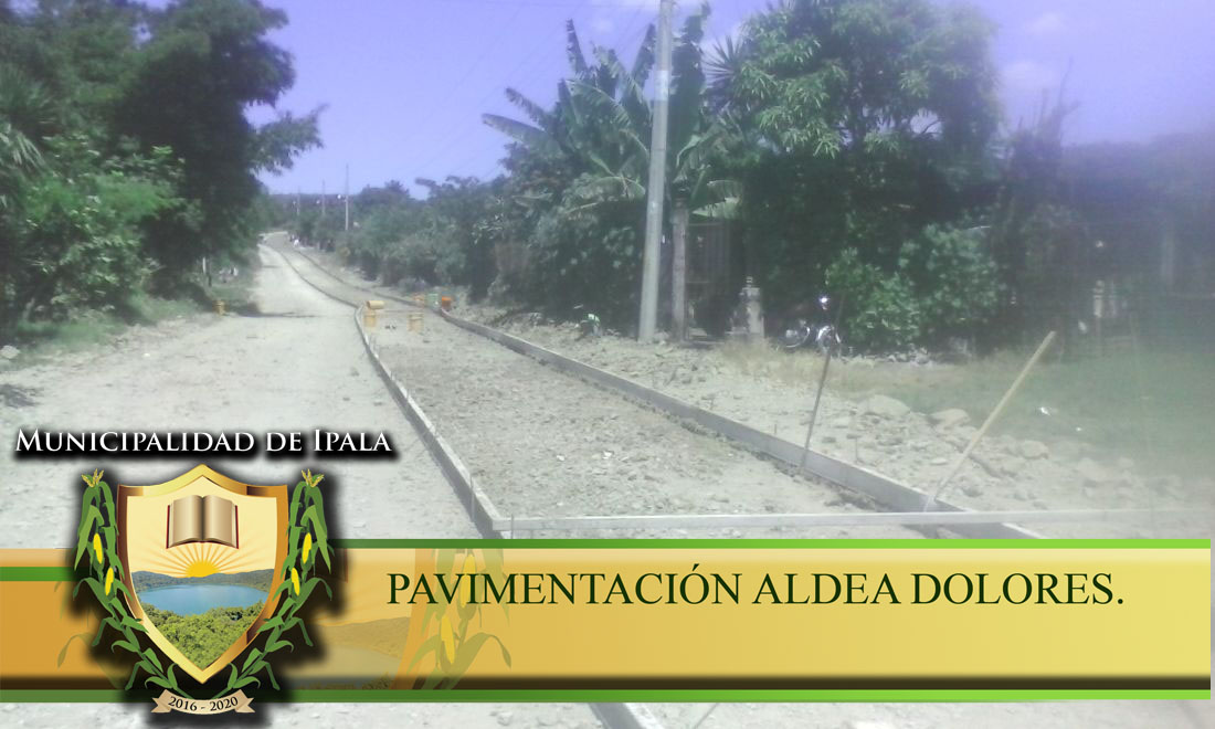 DOLORES3