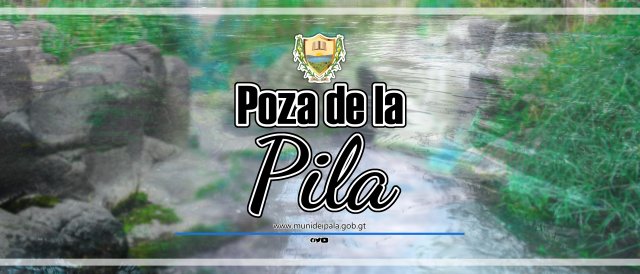 PDLP_001